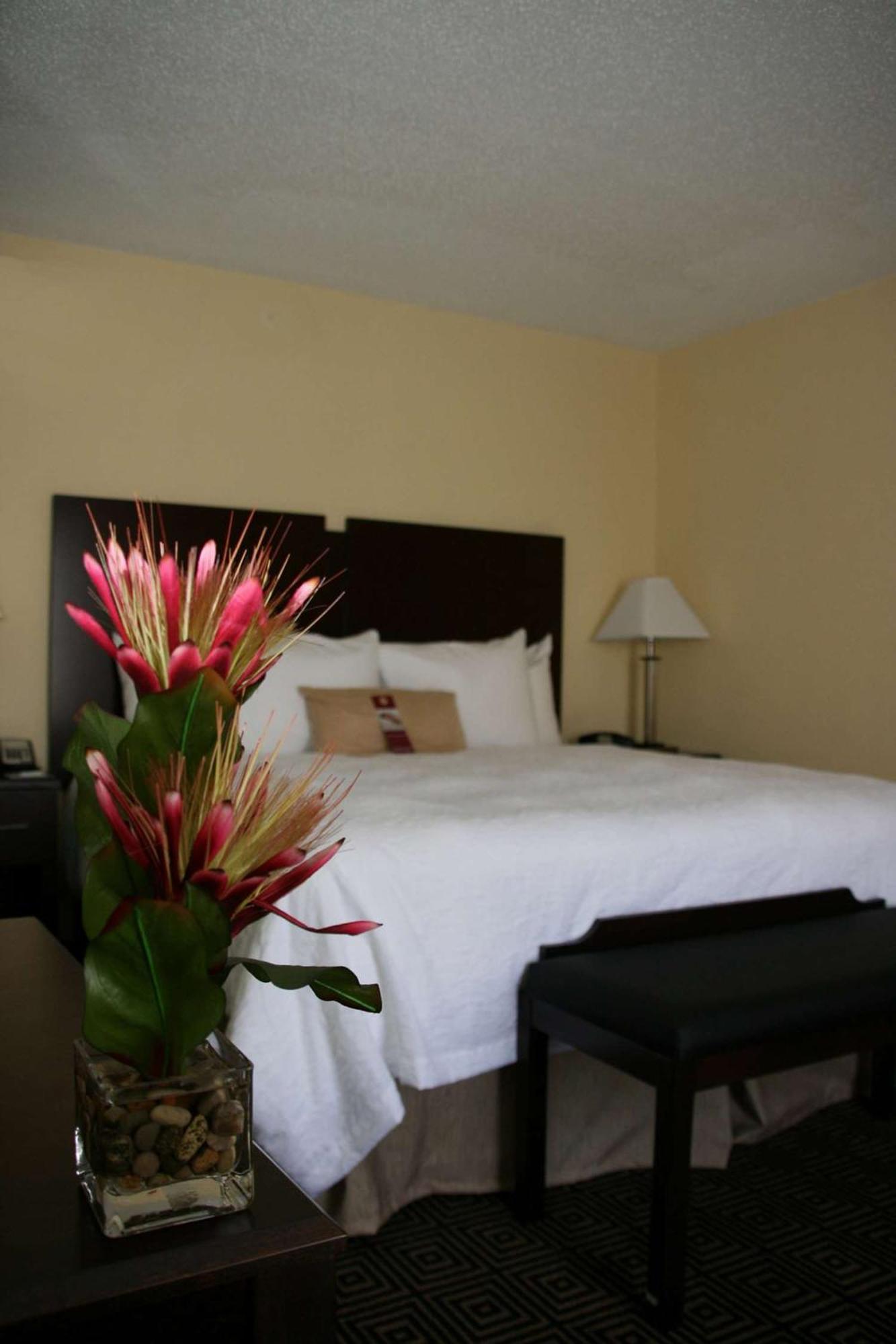 Hampton Inn&Suites Orlando-John Young Parkway/South Park Exterior foto
